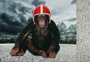 Panorama-Panels Jersey - Affe in einem Helm 