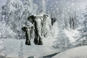 Panel panoramiczny jersey - Zimowe słonie
