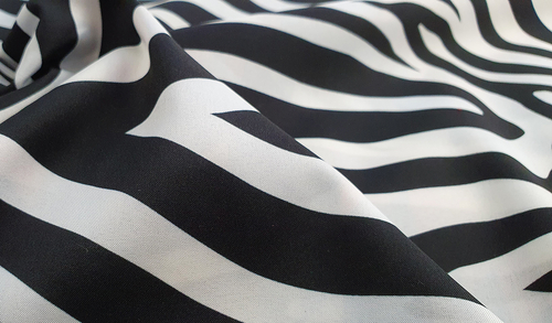 zebra silki zoom.jpg