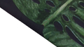 Panel liść palmy na ciemnym - tk. home decor zoom.jpg