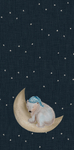Panel für Schlafsack - Teddybär auf dem Mond