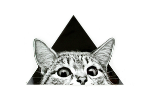 Aufbügel-Patch - Thermodruck - Katze auf einem Dreieck