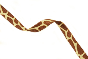 Printed cord - giraffe