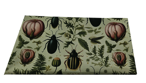 Big bugs - softshell     