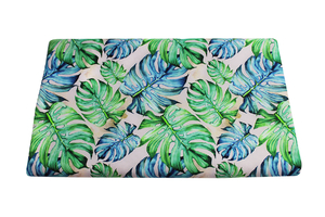 Monstera deliciosa - softshell   (1)