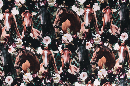 4 konie w kwiatach.jpg