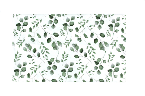 1 eukaliptus.jpg