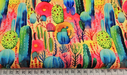 cactuspink miarka.jpg