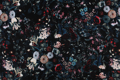 2 magiczny ogrod.jpg