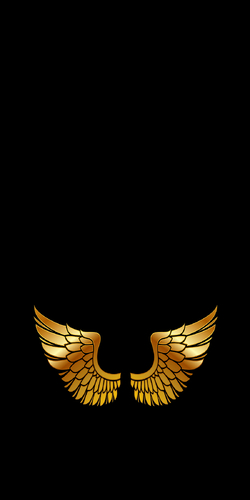 gold wings a.jpg